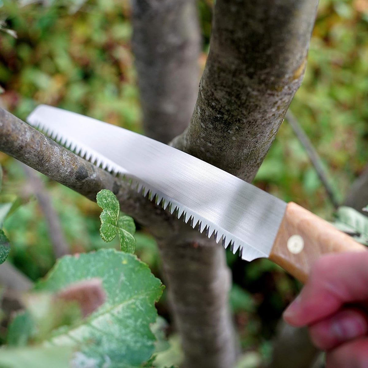 Pruning Saws