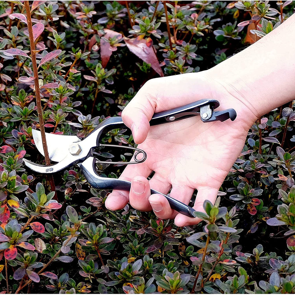 Gardening Scissors