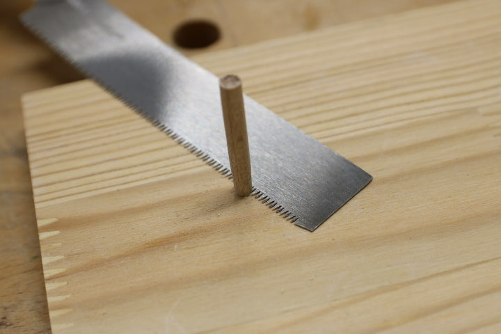 Flush Cut Saw